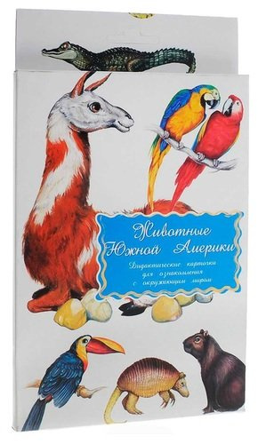 Дидактические карточки Животные Южной Америки
