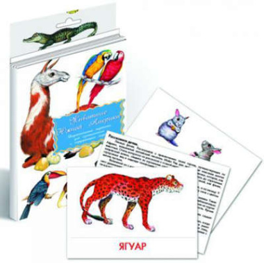 Дидактические карточки Животные Южной Америки