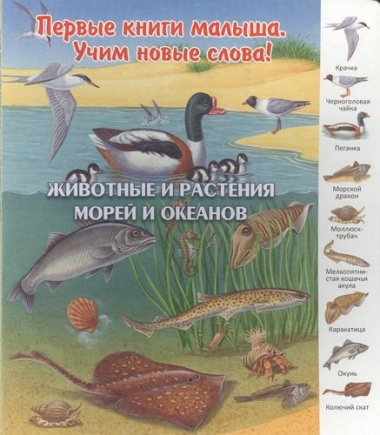Животные и растения морей и океанов (ПерКнМалУчНовСл) (картон) Комарова