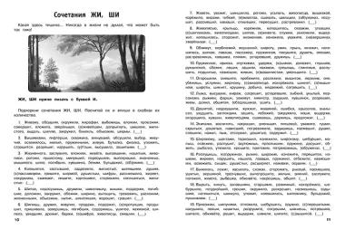 30000 тренировочных заданий по русскому языку. 2 класс