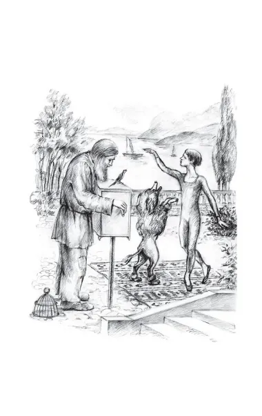 Белый пудель. Рассказы