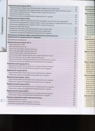 Актуальная грамматика русского языка в таблицах и иллюстрациях: справочник для иностранцев, начинающих изучать русский язык