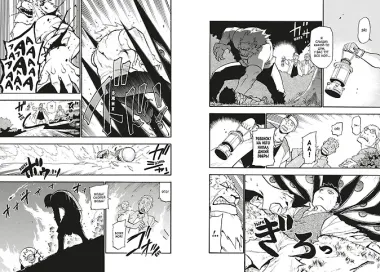 Стальной алхимик. Книга 15 (Fullmetal Alchemist). Манга