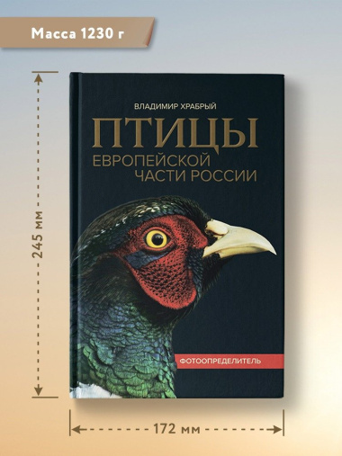 Птицы Европейской части России: фотоопределитель