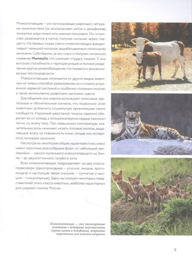 Жизнь животных России. Познавательная иллюстрированная энциклопедия