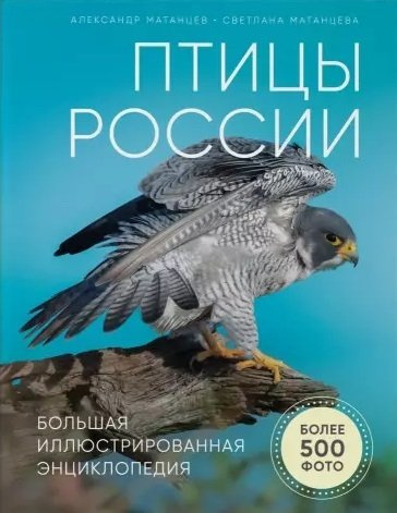 Птицы России. Большая иллюстрированная энциклопедия