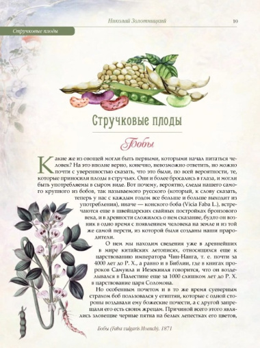 Русский сад и огород. Занимательная история плодов и овощей