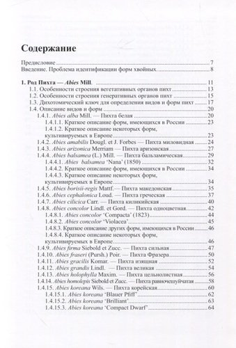 Виды и формы хвойных, культивируемые в России. Часть 3.