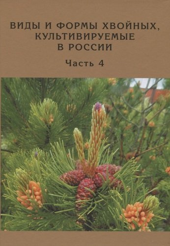 Виды и формы хвойных, культивируемые в России. Часть 4. Сосна