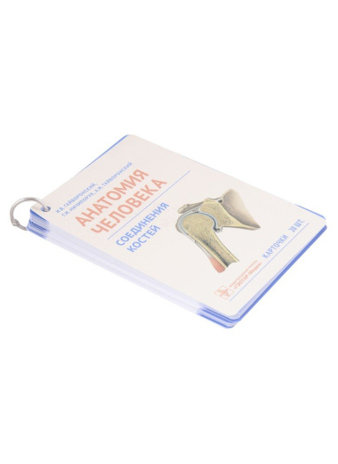 Анатомия человека. Соединения костей. Карточки: наглядное учебное пособие (28 двусторонних карточек)