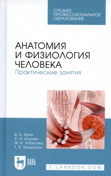 Анатомия и физиология человека. Практические занятия. Учебное пособие
