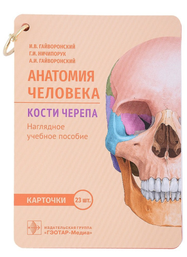 Анатомия человека. Кости черепа. Карточки: наглядное учебное пособие