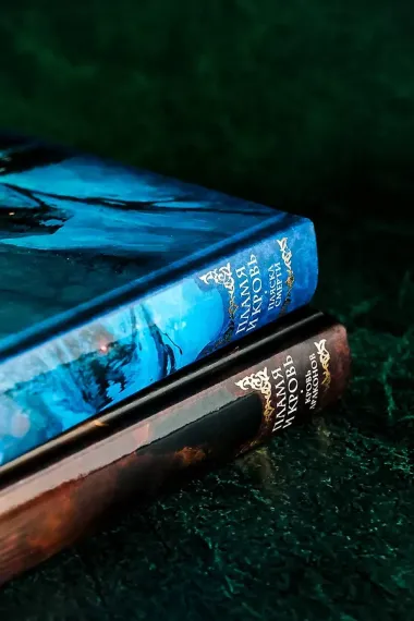 Дом драконов (комплект из 2 книг)