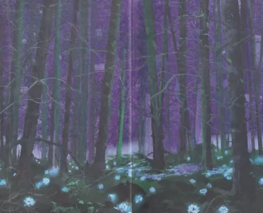 На острие клинка