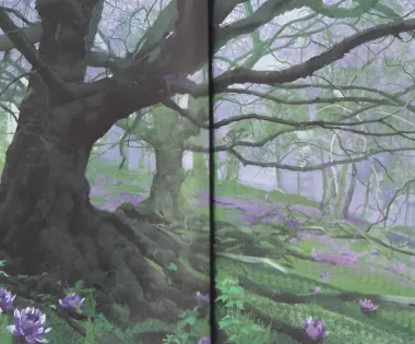 На острие клинка