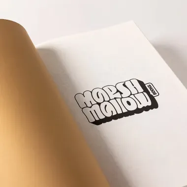 Порочные идеалы