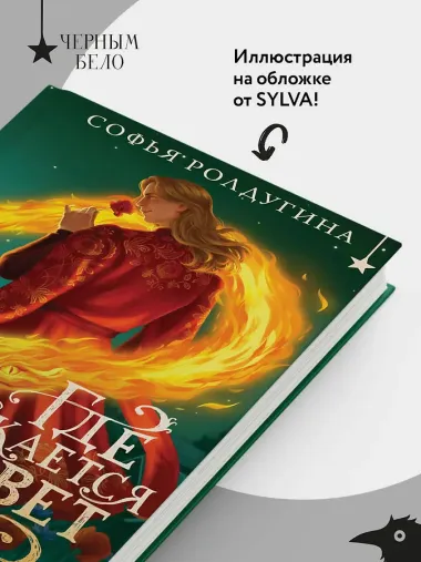 Где распускается алоцвет