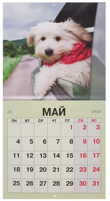 Календарь 2026г 300*290 