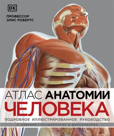 Атлас анатомии человека (DK). Подробное иллюстрированное руководство