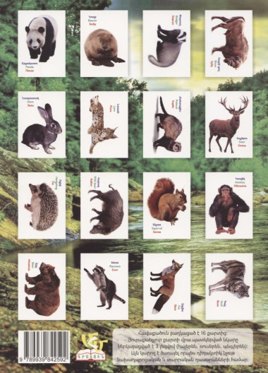 Обучающие карточки. Дикие животные леса (на армянском языке)