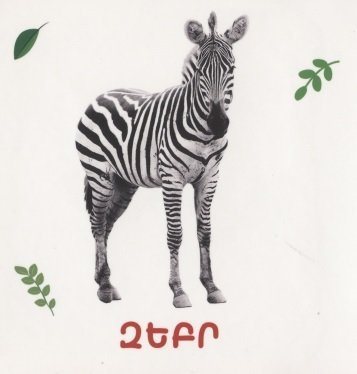 Дикие животные (на армянском языке)