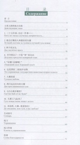 Наши гуси улетели. Адаптированный текст для чтения на китайском языке. Уровень 2 : 500 слов
