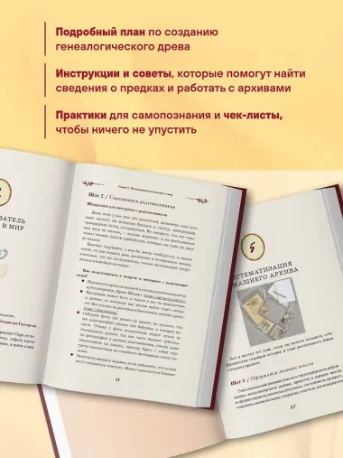 От корней до крыльев. Путеводитель по поиску своих истоков
