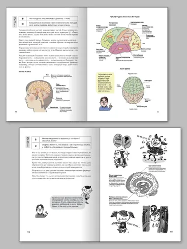 Как заставить работать мозг в любом возрасте. Японская система развития интеллекта и памяти