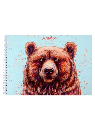 Альбом для рисования 40л А4 "Медведь" гребень, мел.картон, мат.ламинация, выб.лак