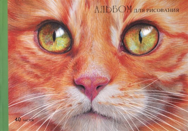 Альбом для рисования 40л А4 "Рыжий котик" склейка, мел.картон, мат.ламинация