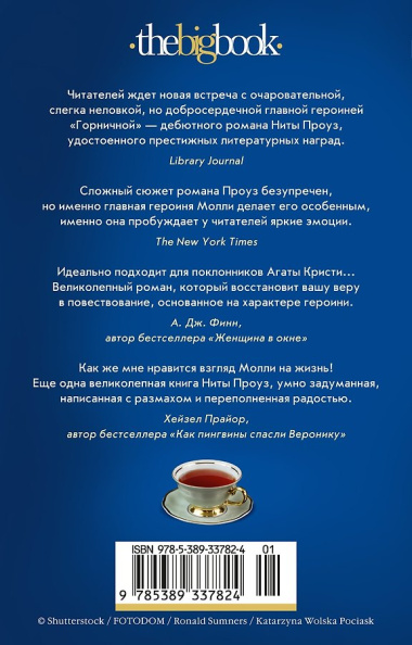 Таинственный гость