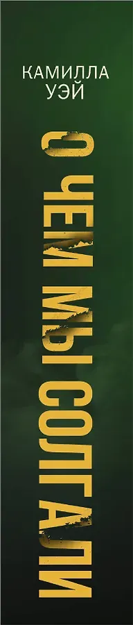 О чем мы солгали