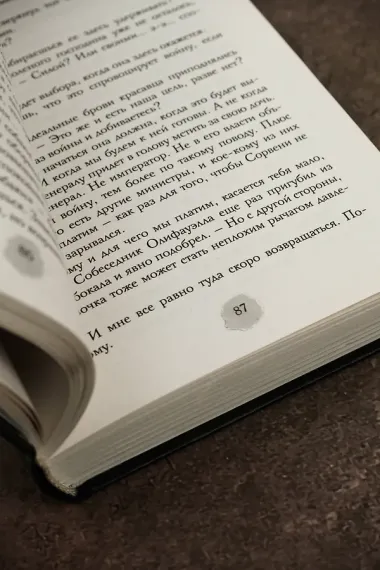 В пепел. Шпион