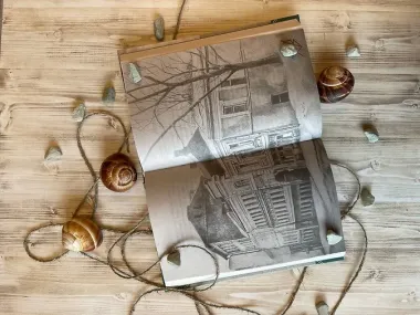 Правый берег Егора Лисицы