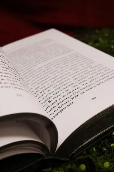 Ведьма Вороньего леса