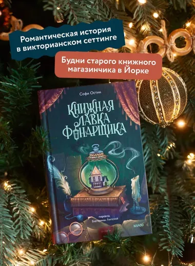 Книжная лавка фонарщика