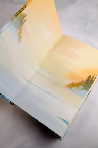 Первым делом самолёты