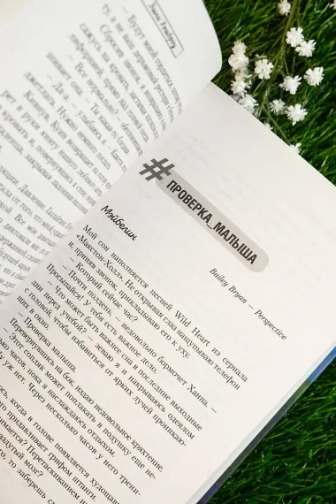 Безупречное столкновение