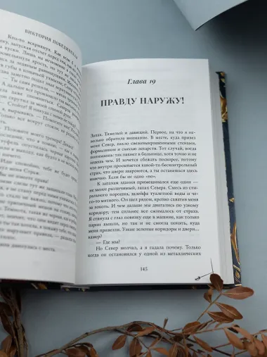 Парадокс Севера