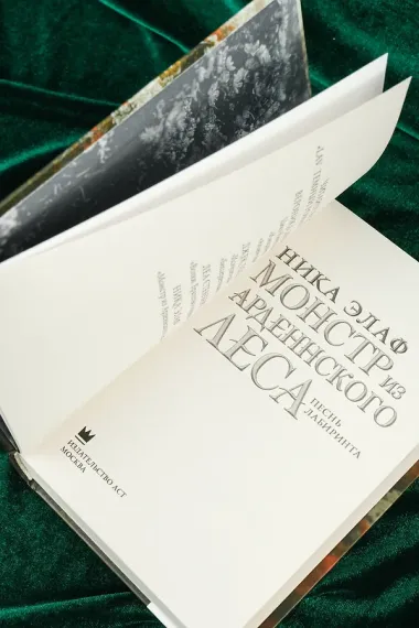 Монстр из Арденнского леса. Песнь лабиринта