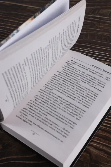 Системщик. Перевертыш