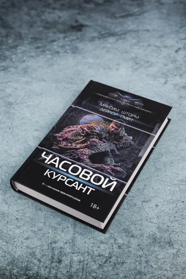 Часовой. Курсант