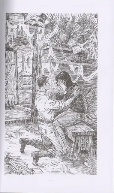 Галактический консул. Эпицентр. Роман