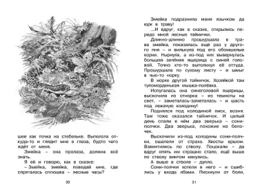 Лесные тайнички