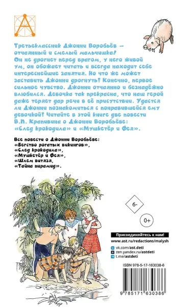 Мушкетер и Фея. Истории из жизни Джонни Воробьёва