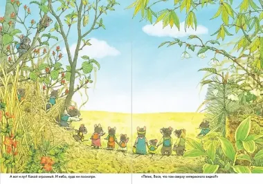 14 лесных мышей. Пикник.