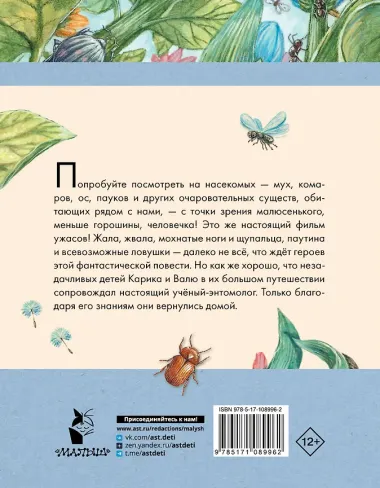 Необыкновенные приключения Карика и Вали