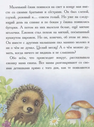 Сказки для сладких снов