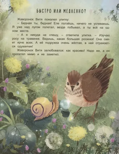 Жаворонок Витя