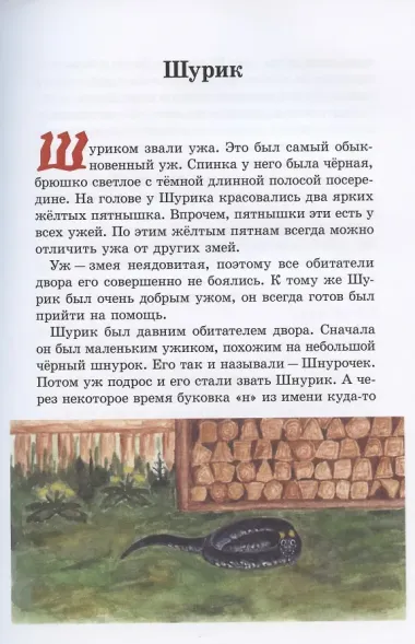 Необыкновенные истории про Кнопа и его друзей